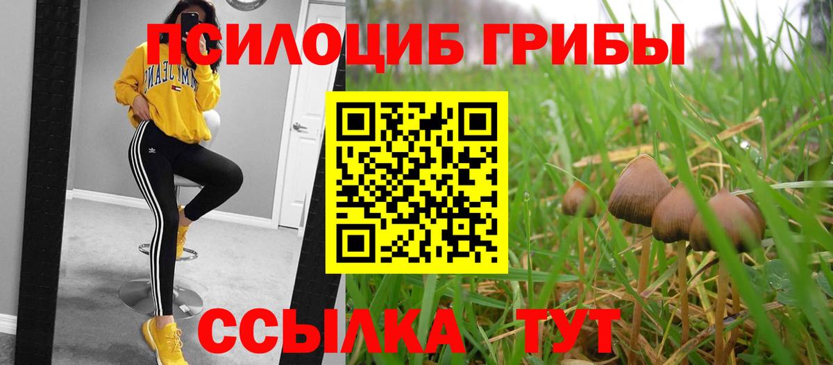 Нововоронеж  Псилоцибиновые грибы мицелий  Галлюциногенные грибы мицелий  где найти наркотики  Вход с VPN 