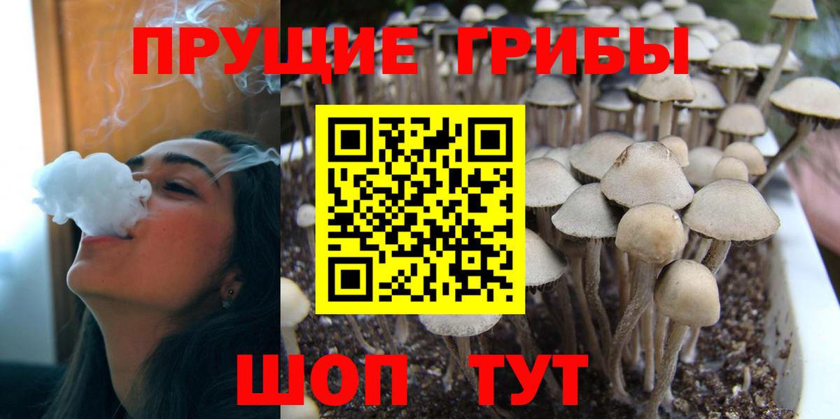 Галлюциногенные грибы Magic Shrooms Нововоронеж